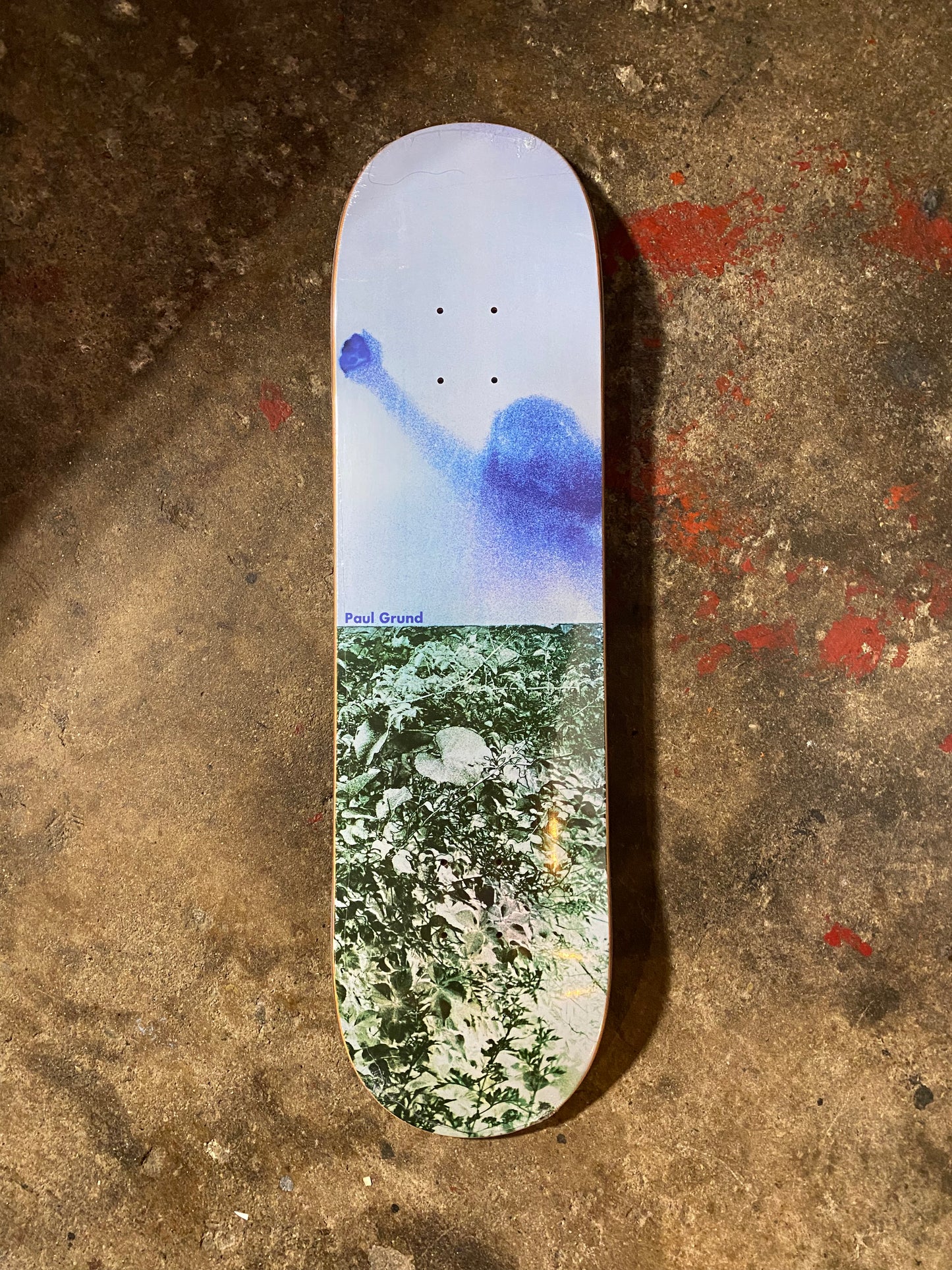 Polar Paul Grund Deck 8.375