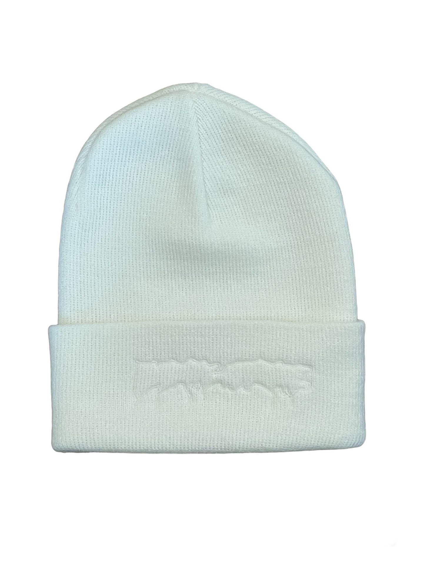 Fucking Awesome Drip Embroidered Beanie