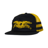 Yellow/Black