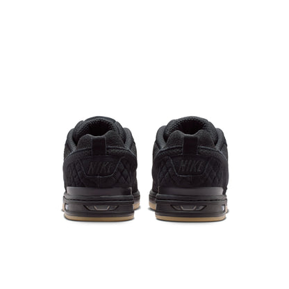 Nike SB Paul Rodriguez Zoom Air Low