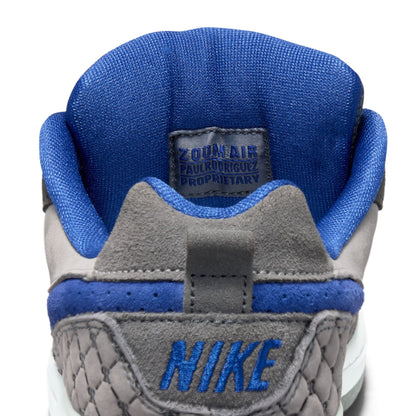 Nike SB Paul Rodriguez Zoom Air Low DG