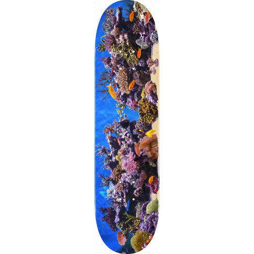 MINI LOGO Fish Tank Deck