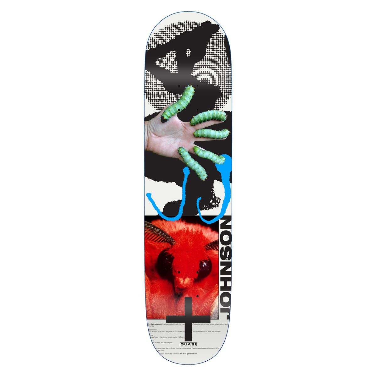 Quasi Johnson ‘Mothhead’ Deck 8.25