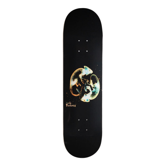 Swim Dan Plunkett (X-Ray) 8.25 Deck