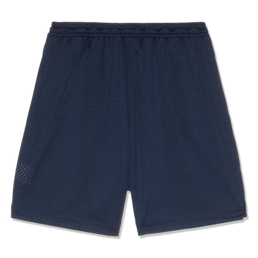 Nike SB Basket Ball Shorts