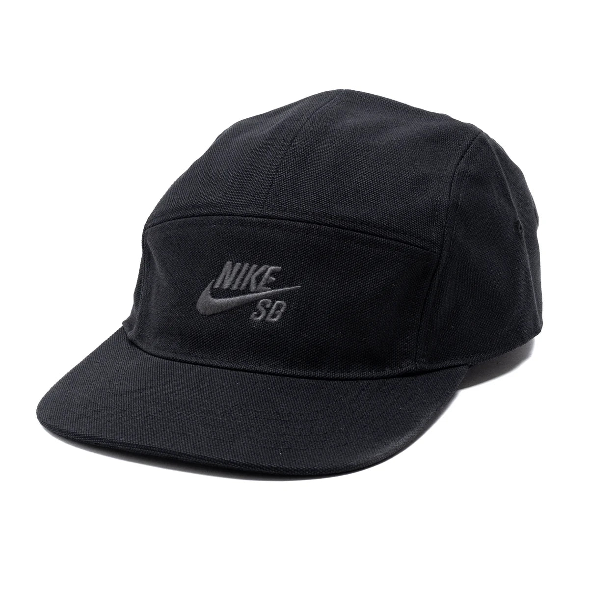Nike SB Fly Cap
